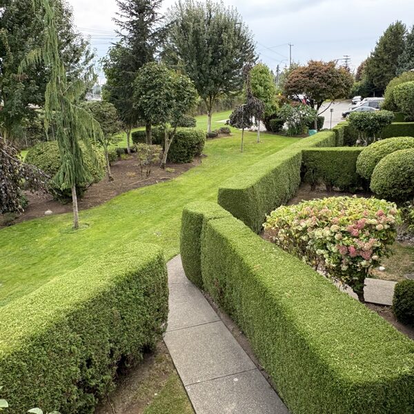Lawn Care & Hedging