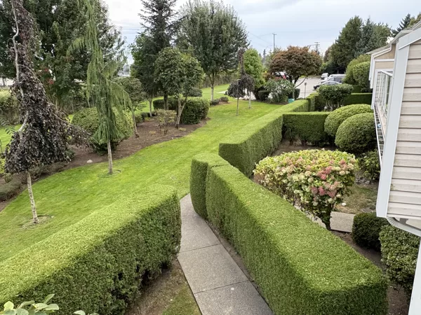 Lawn Care & Hedging