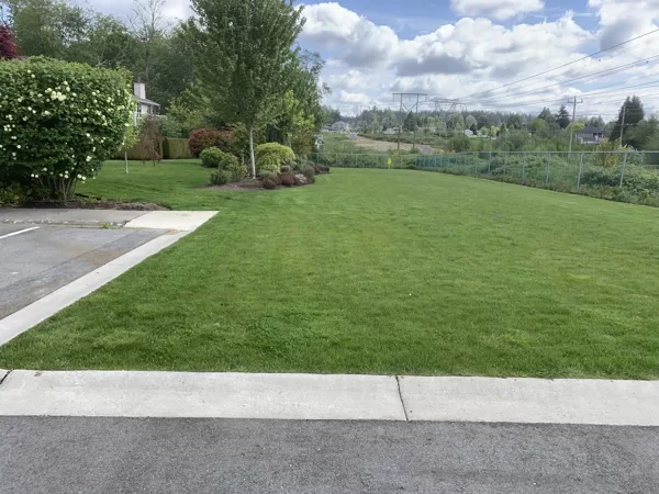 Strata Landscaping Maintenance